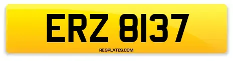 ERZ 8137