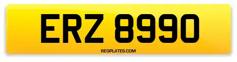 ERZ 8990