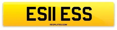 ES11 ESS
