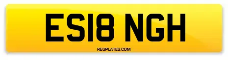 ES18 NGH