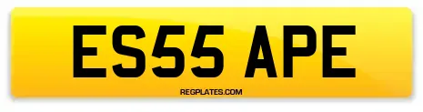 ES55 APE