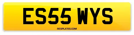 ES55 WYS
