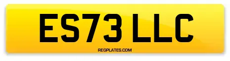 ES73 LLC