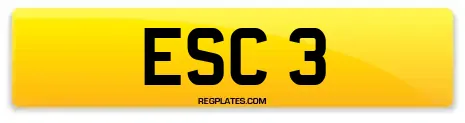 ESC 3