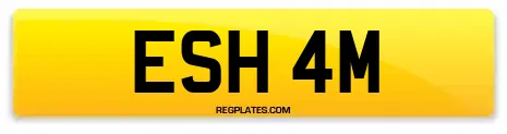 ESH 4M