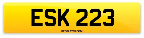 ESK 223