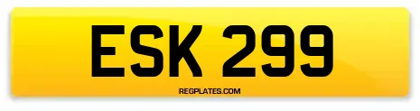 ESK 299