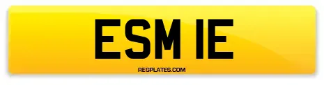 ESM 1E