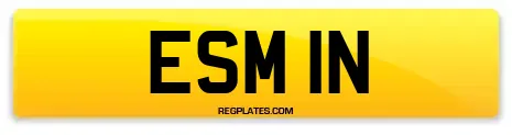 ESM 1N