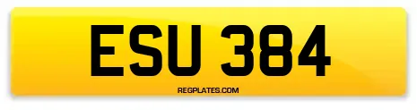 ESU 384