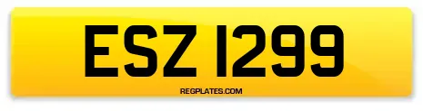 ESZ 1299