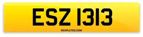 ESZ 1313