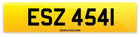 ESZ 4541