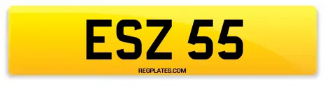 ESZ 55