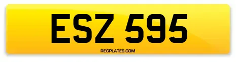 ESZ 595