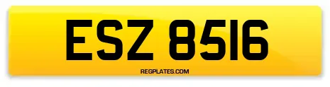 ESZ 8516