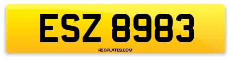 ESZ 8983