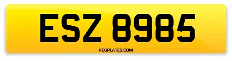 ESZ 8985