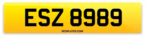 ESZ 8989