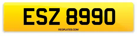 ESZ 8990