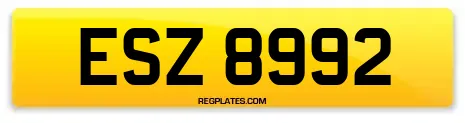 ESZ 8992