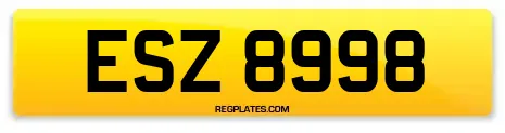 ESZ 8998