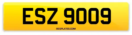 ESZ 9009