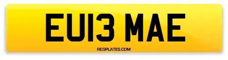 EU13 MAE