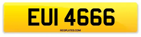 EUI 4666