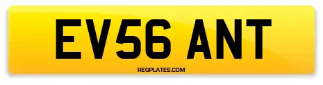 EV56 ANT