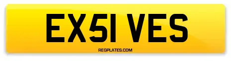 EX51 VES