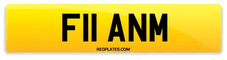 F11 ANM