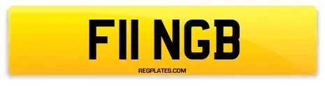 F11 NGB