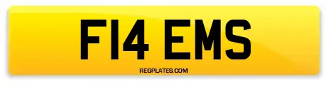 F14 EMS
