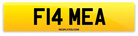 F14 MEA