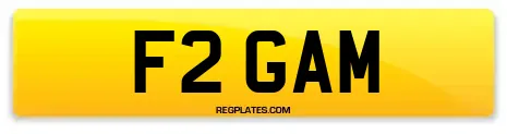 F2 GAM