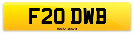 F20 DWB
