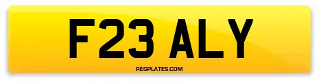 F23 ALY