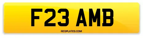 F23 AMB