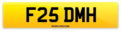 F25 DMH