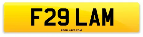 F29 LAM