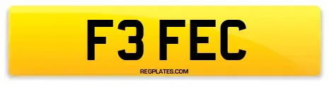 F3 FEC