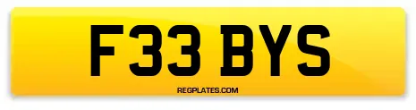 F33 BYS