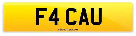 F4 CAU