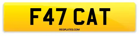 F47 CAT