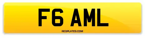 F6 AML