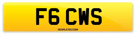 F6 CWS