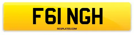 F61 NGH