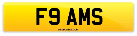 F9 AMS