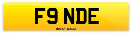 F9 NDE
